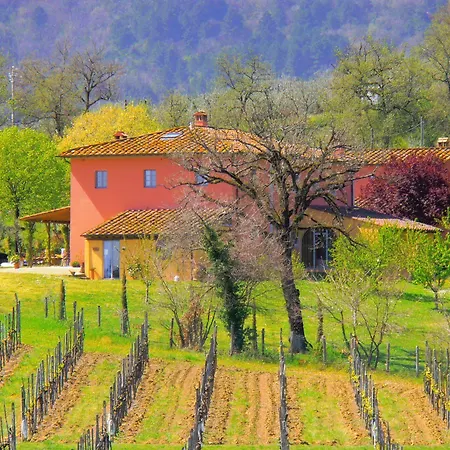 Campiglioni Montevarchi