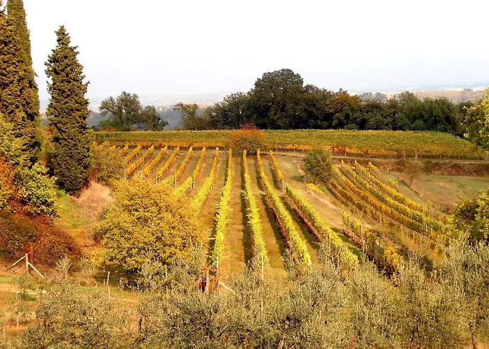 Relais Campiglioni Bauernhof Montevarchi